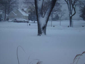 The blizzard of 2009. What a day to get married!