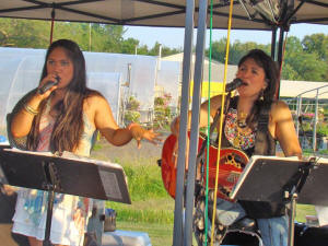 Oracle Band at Knopp Farm Picnic 2010 - Severn Maryland